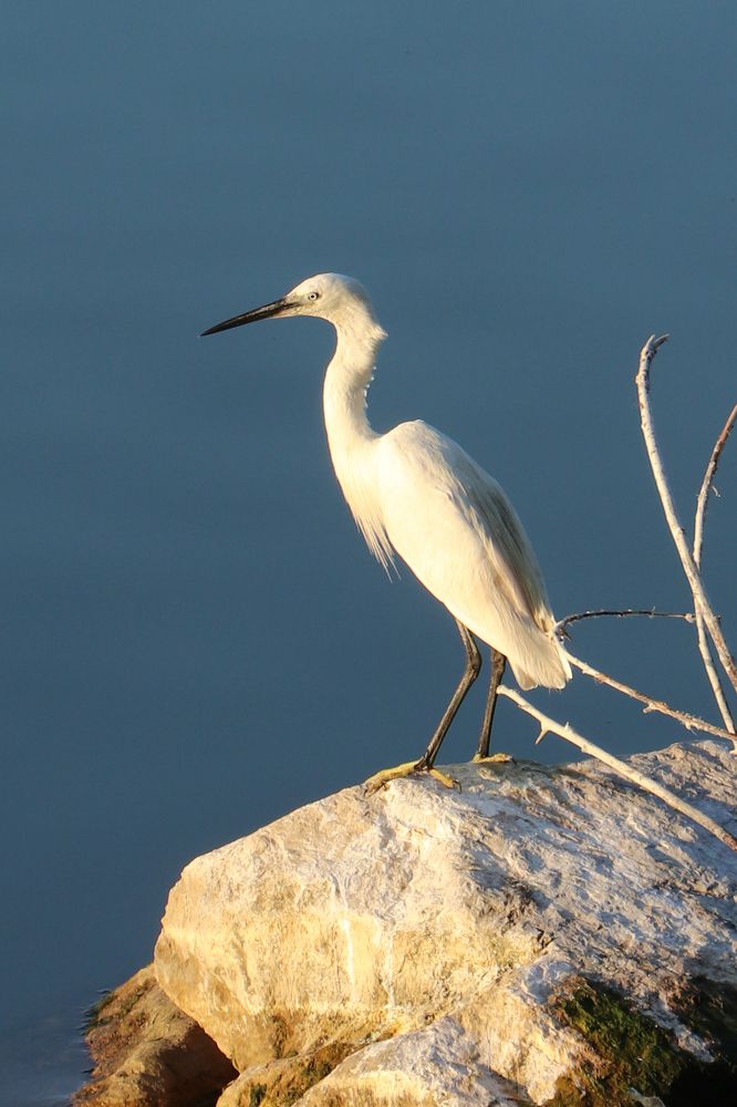 Photograph by Buket Demirel