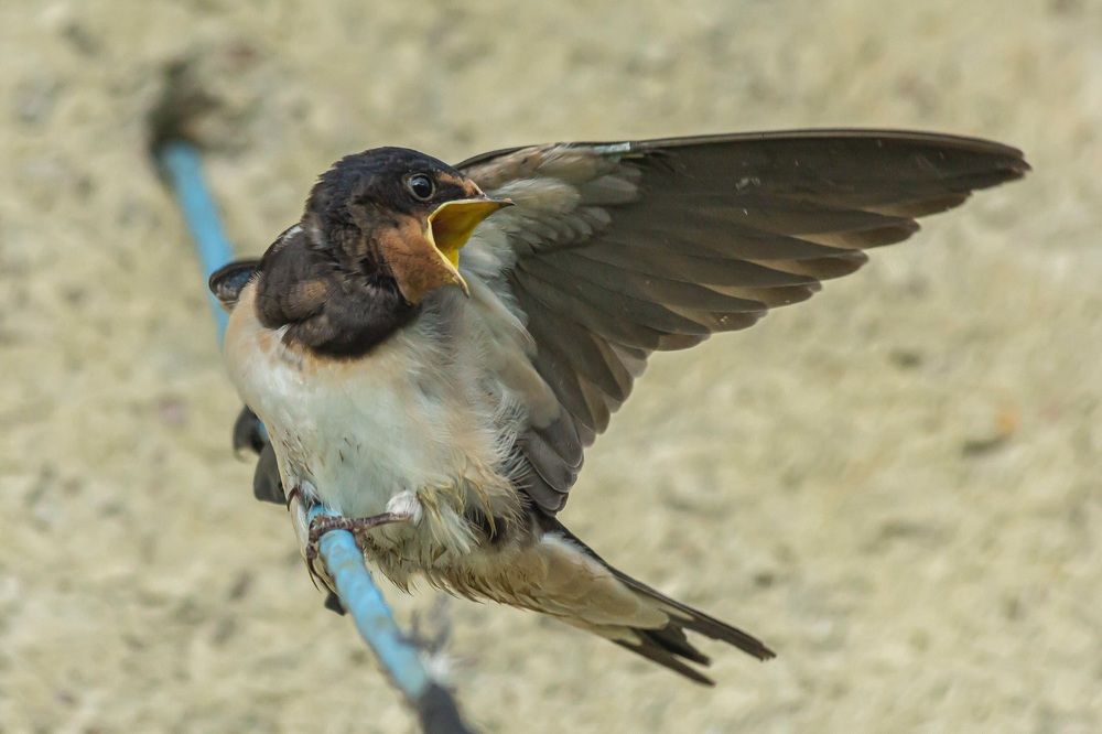 Photograph by Андрей