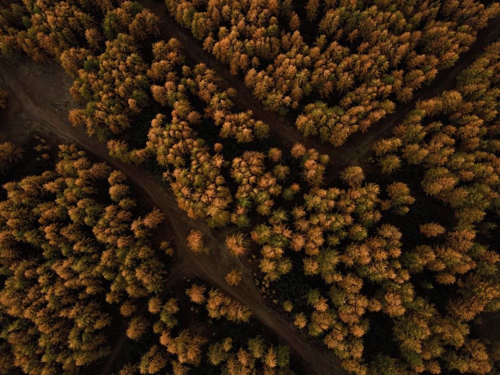 Фотография автора Наталья Вертугина