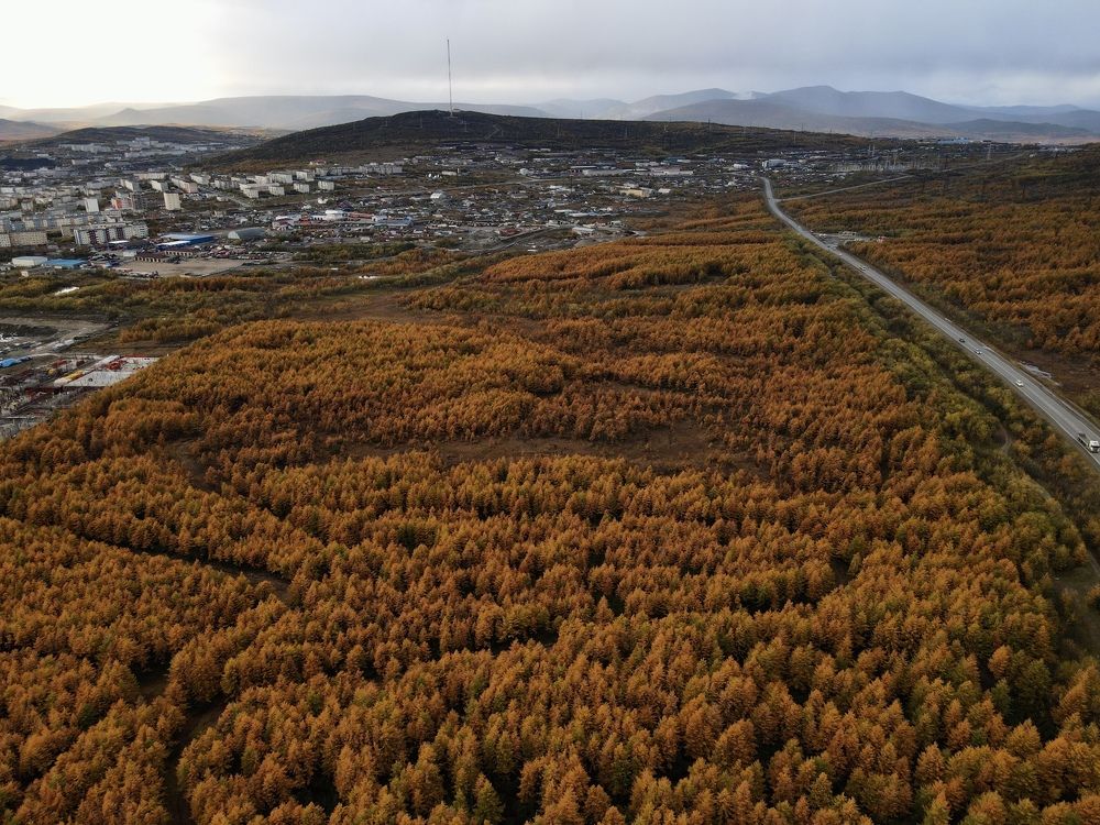 Фотография автора Наталья Вертугина