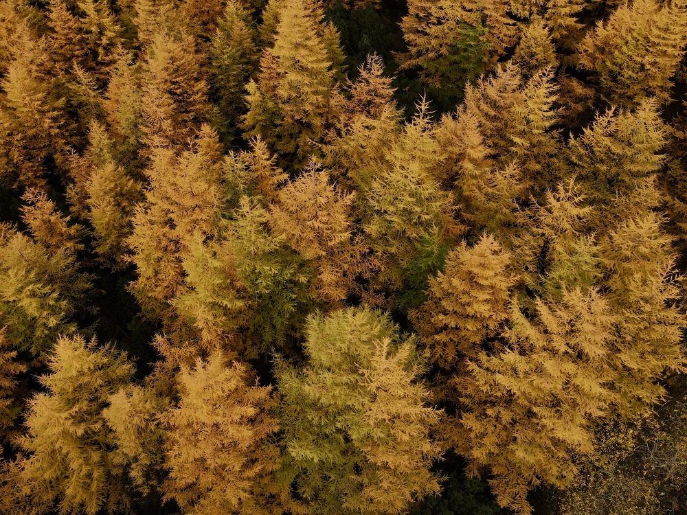 Фотография автора Наталья Вертугина