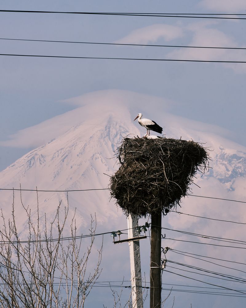 Photograph by Владимир Эделев