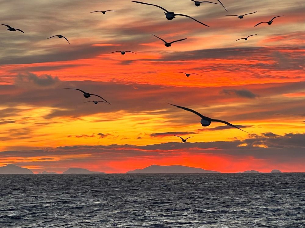 Photograph by Ольга Желтова