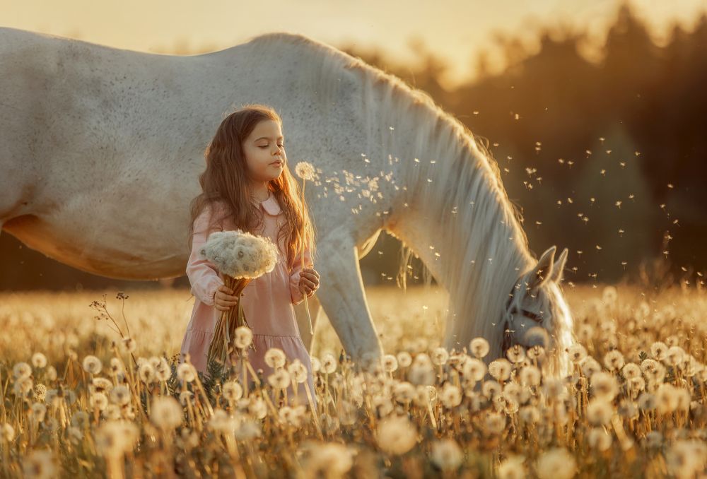 Photograph by Онучина Юлия