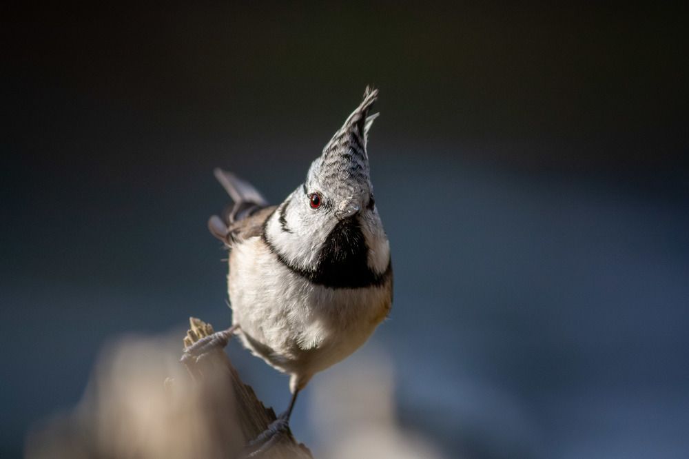 Photograph by Вячеслав Шуплецов