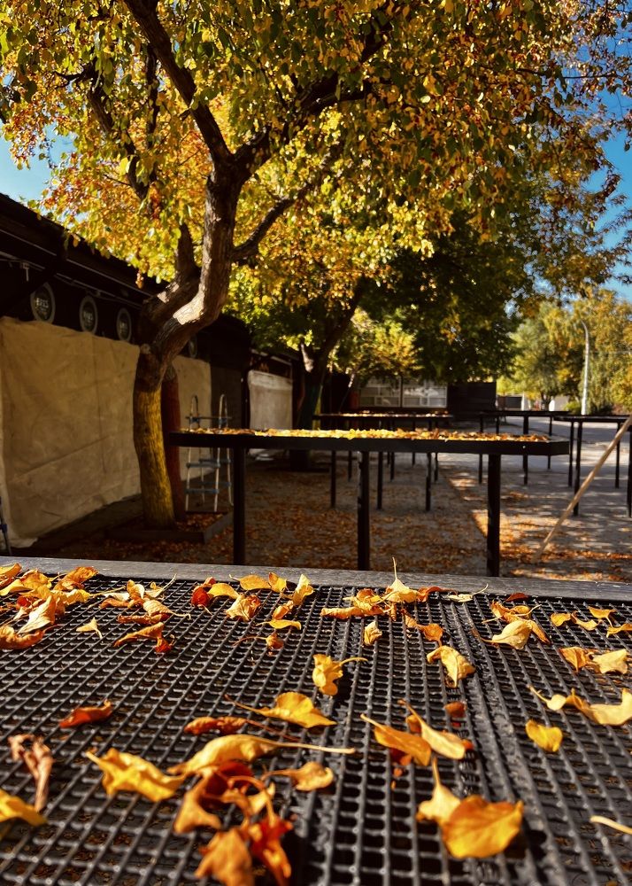 Photograph by Ольга Белоусова