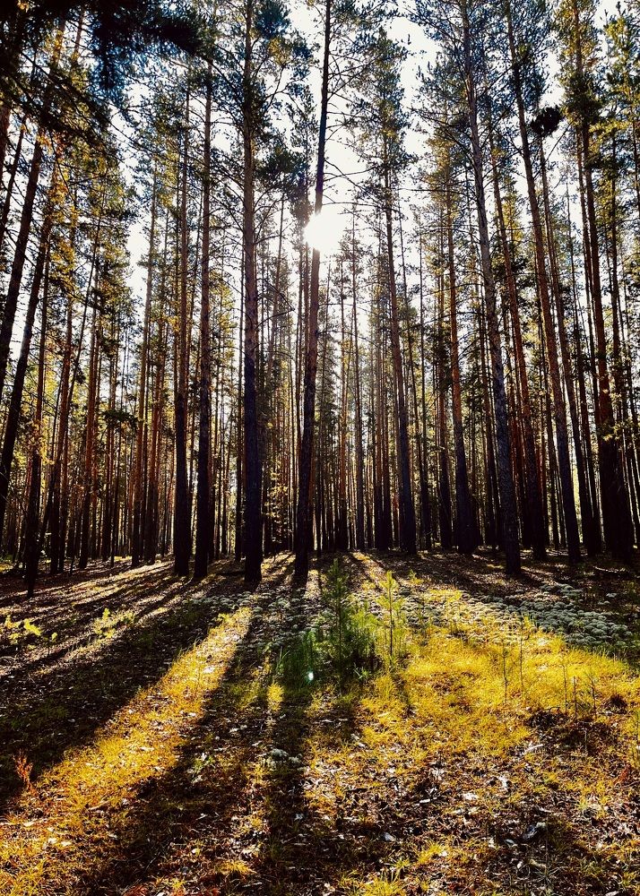 Photograph by Ольга Белоусова