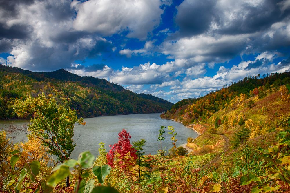 Photograph by ЕЛЕНА Рохо-Фернандес