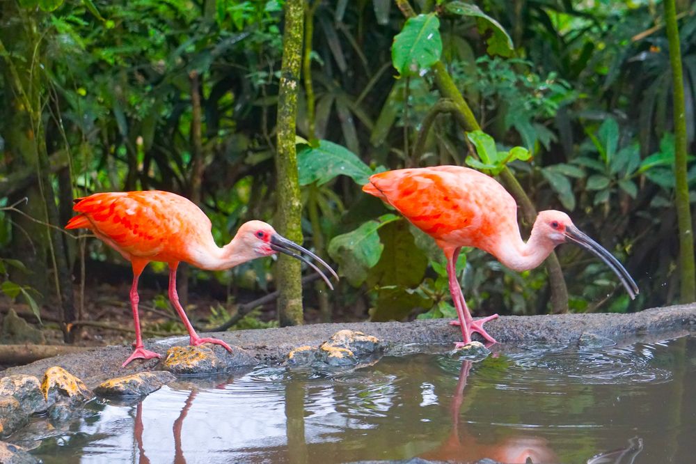 Photograph by Andrew Altarejos