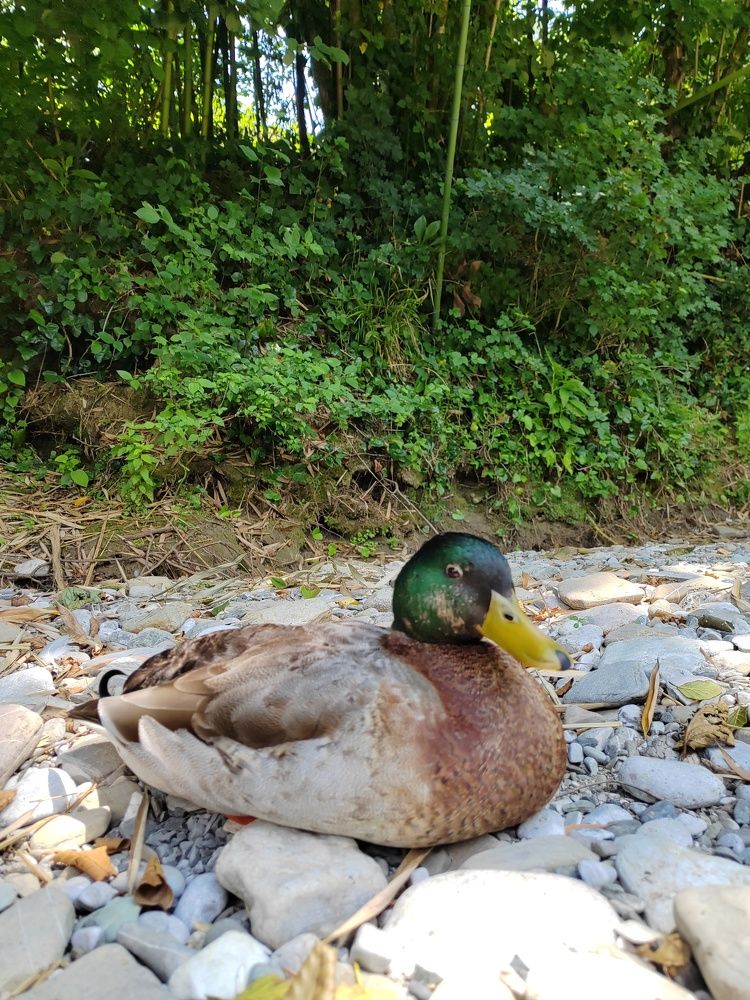 Фотография автора Татьяна Егорова