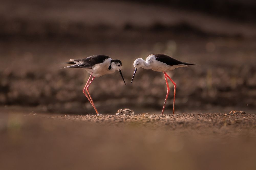 Photograph by Алёна Газукина