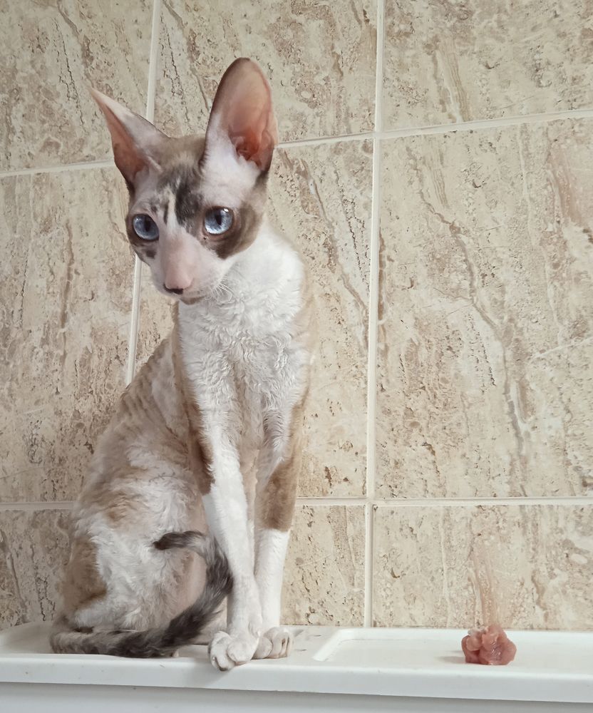 Photograph by Татьяна Февральская