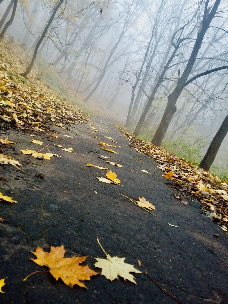 Photograph by Светлана Соколова