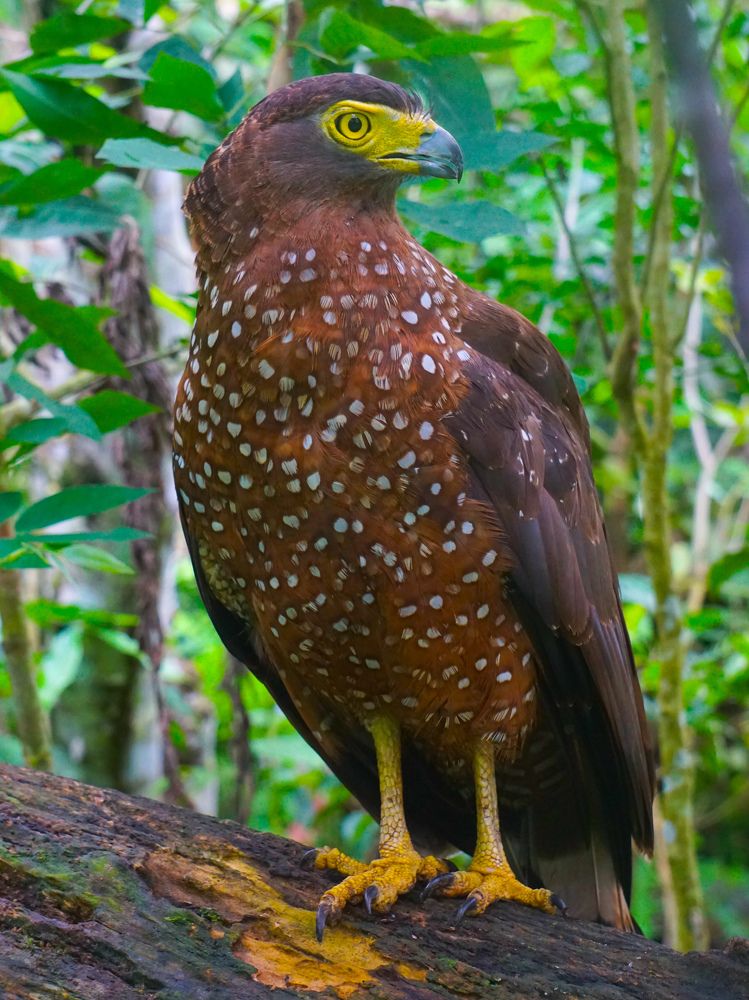 Photograph by Andrew Altarejos