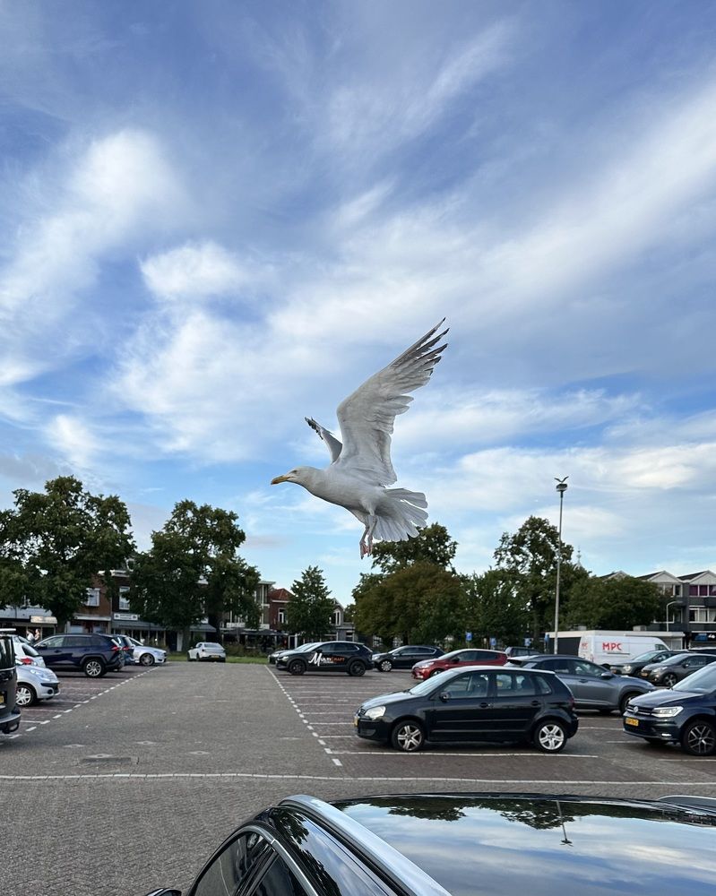 Photograph by Лидия