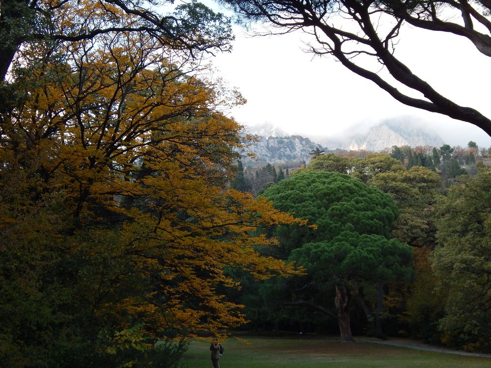 Photograph by Tanivsv