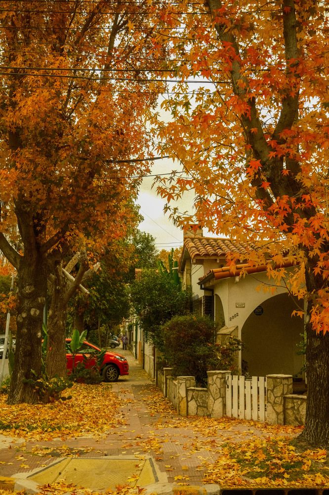 Photograph by Сергей Аверченко