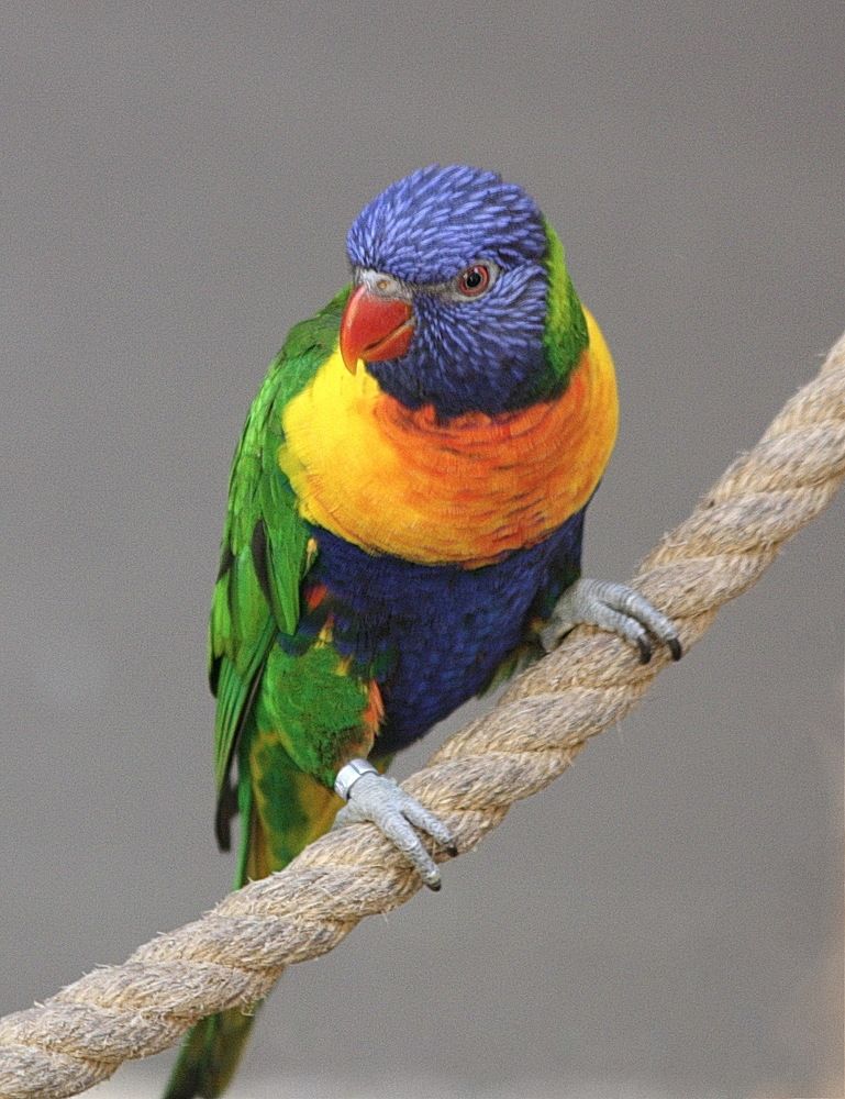 Фотография автора АЛЕКСАНДР ЦЫГЕЛЬНЮК