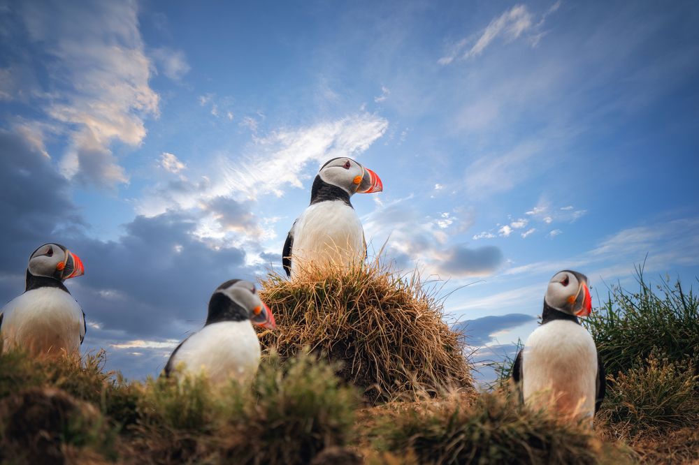 Photograph by Lyubomir Momchilov