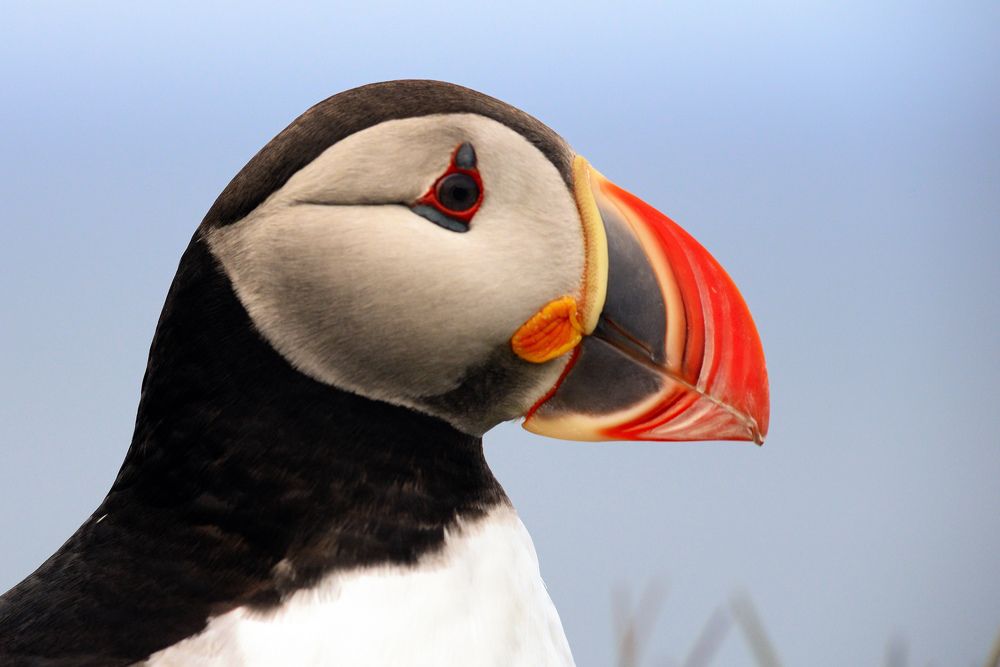 Photograph by Paolo Mola