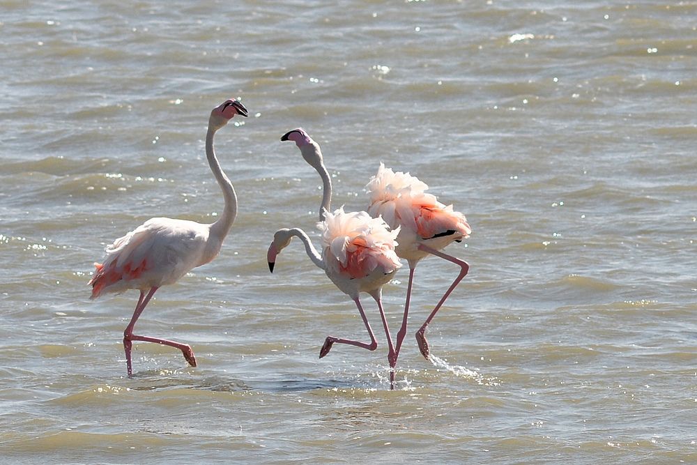 Photograph by Paolo Mola