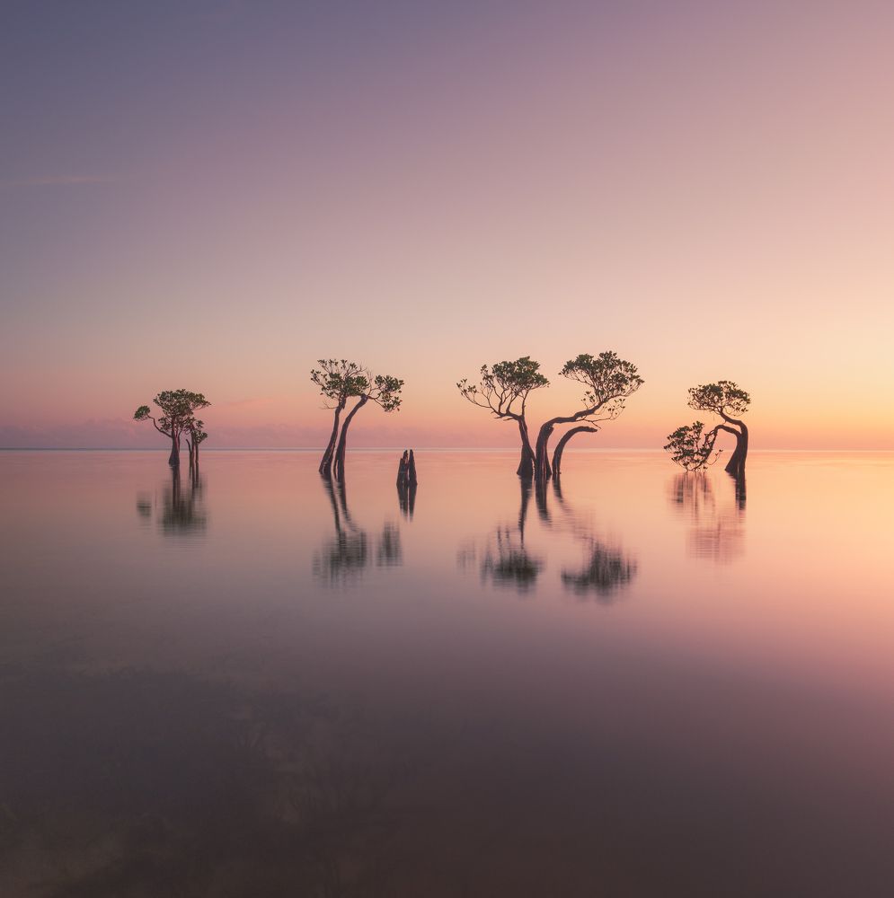 Photograph by Lukasz Maliszewski