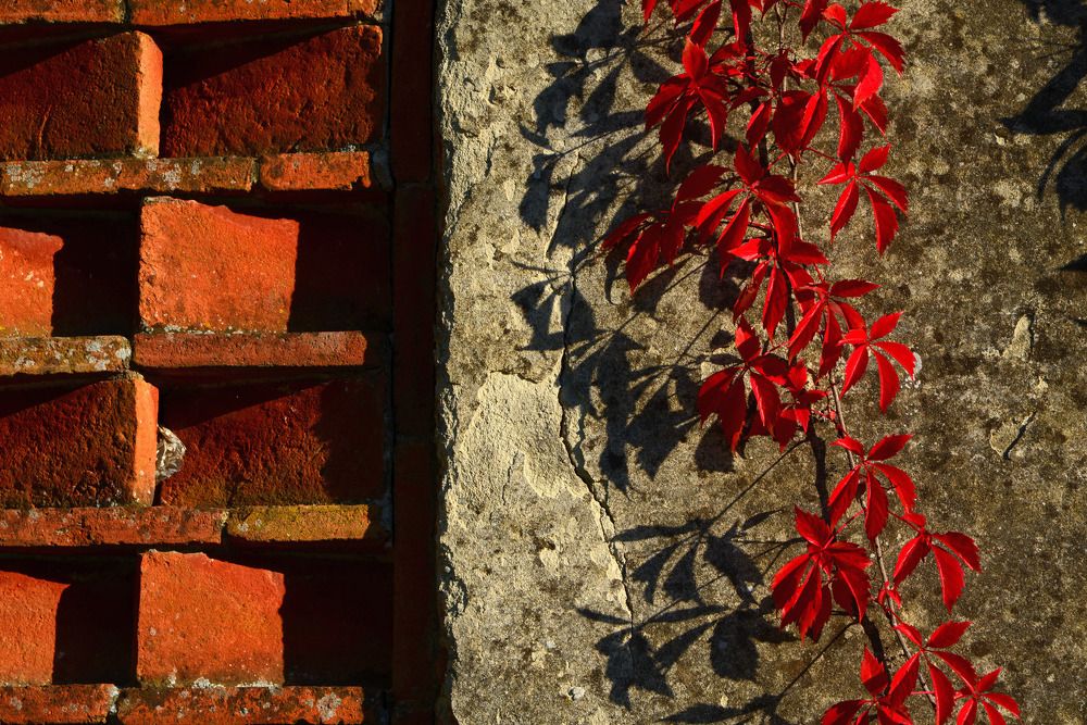 Photograph by Paolo Mola