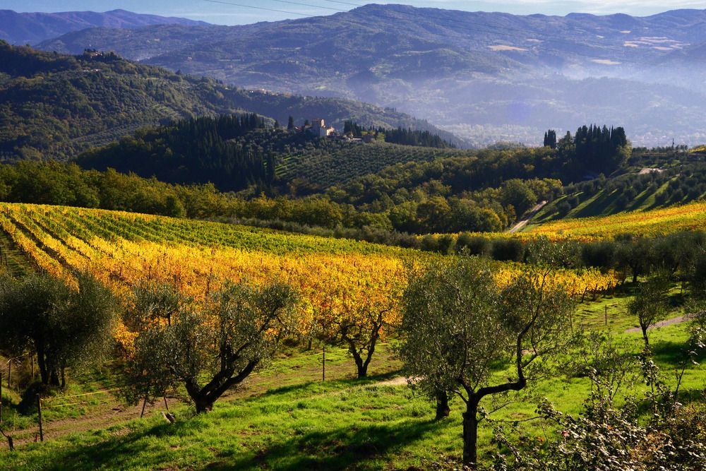 Photograph by Paolo Mola