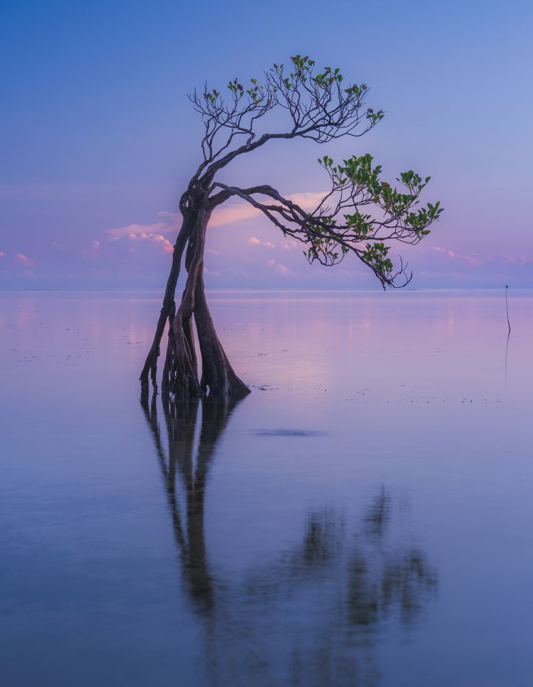 Photograph by Lukasz Maliszewski