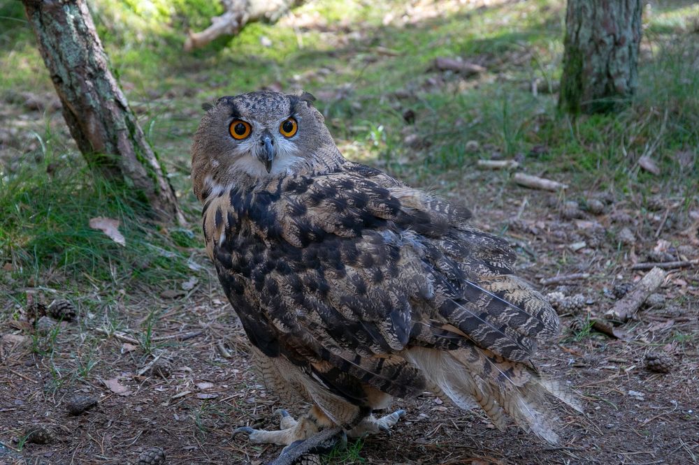 Photograph by Наталья Катюжанская