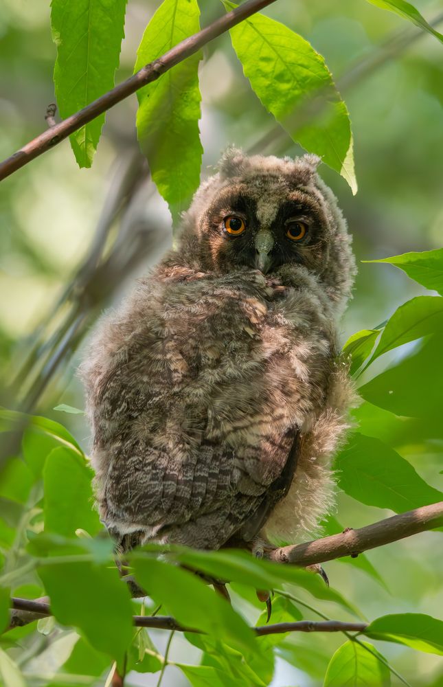 Photograph by Альварис Сукманюк