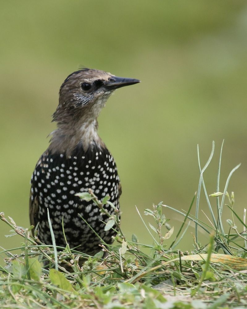 Photograph by Затямин Александр