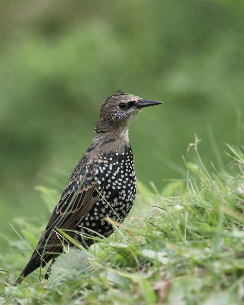 Photograph by Затямин Александр