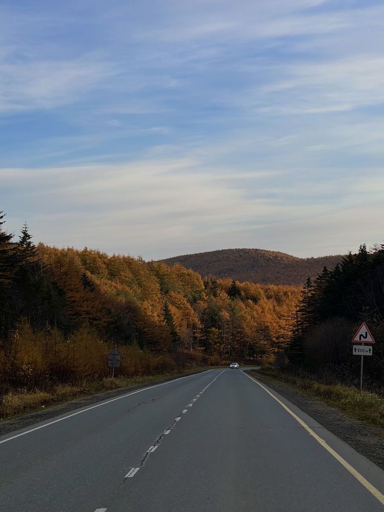 Фотография автора Елена Меньшикова