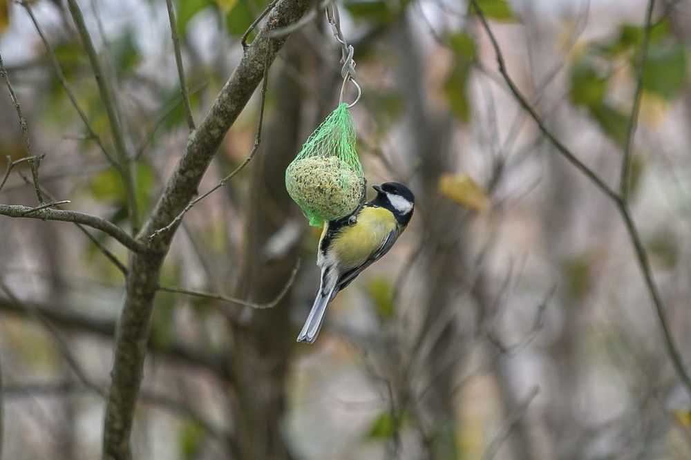 Photograph by Наталья Катюжанская