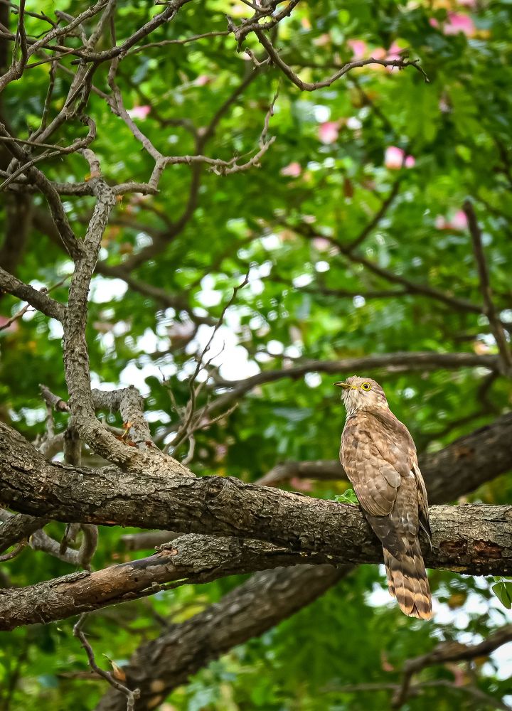 Photograph by shahil shaik