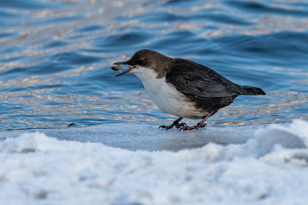 Photograph by Андрей Бородкин