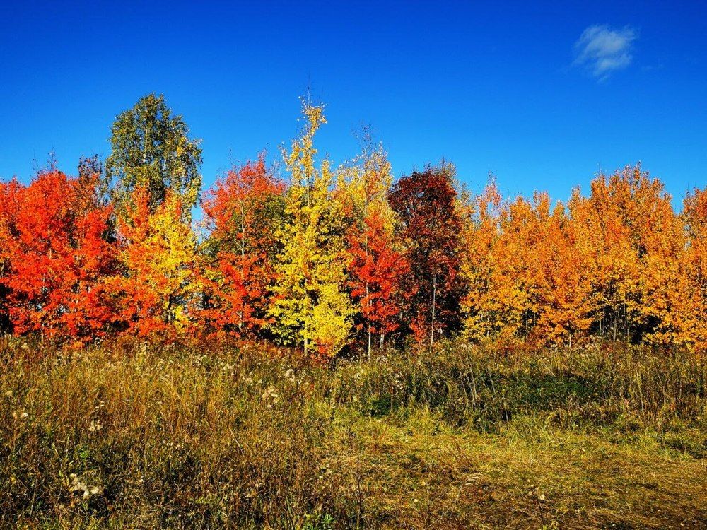 Фотография автора Андрей Богданов