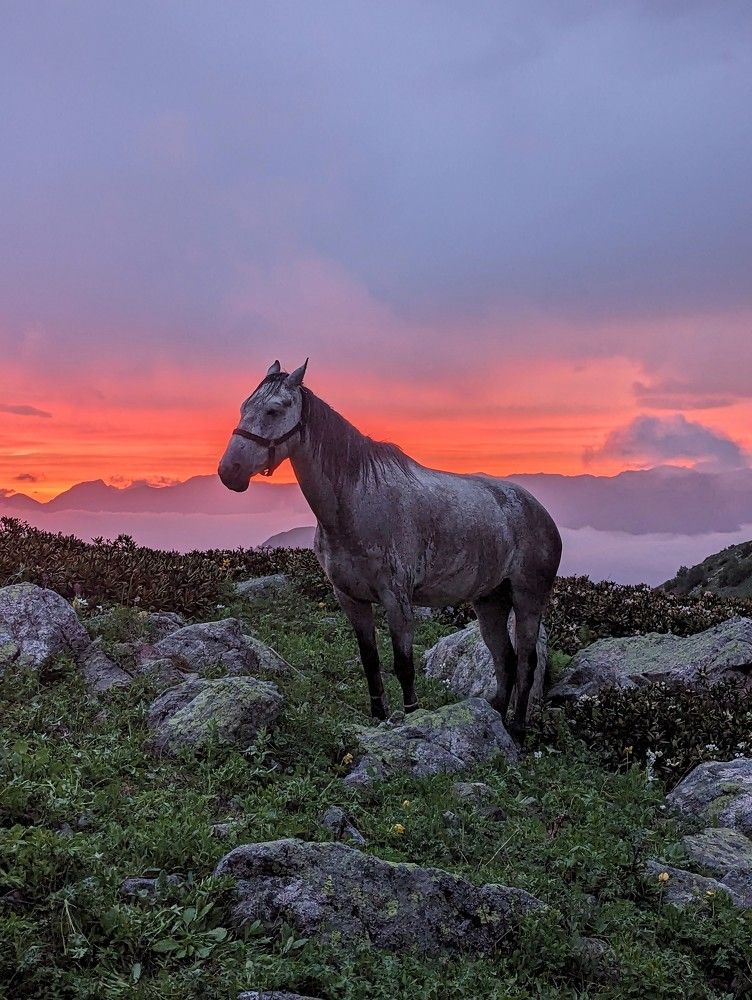 Photograph by Андрей Гусаров