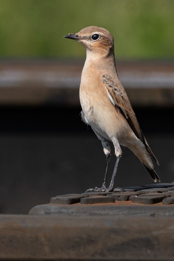 Photograph by Андрей Бородкин