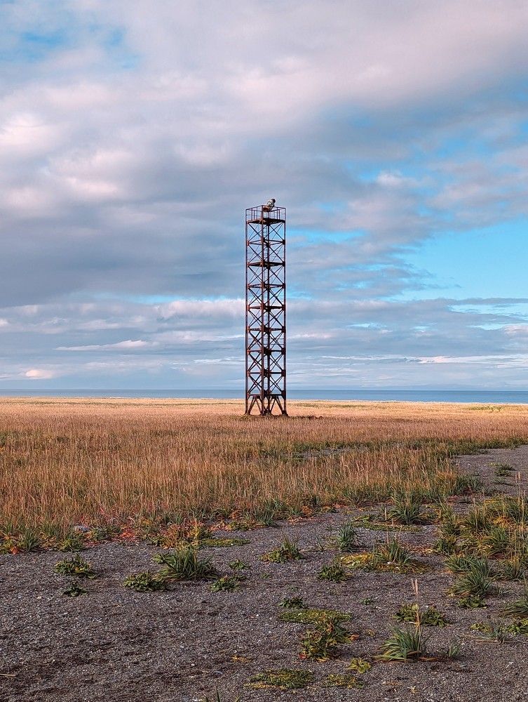 Photograph by Андрей Гусаров