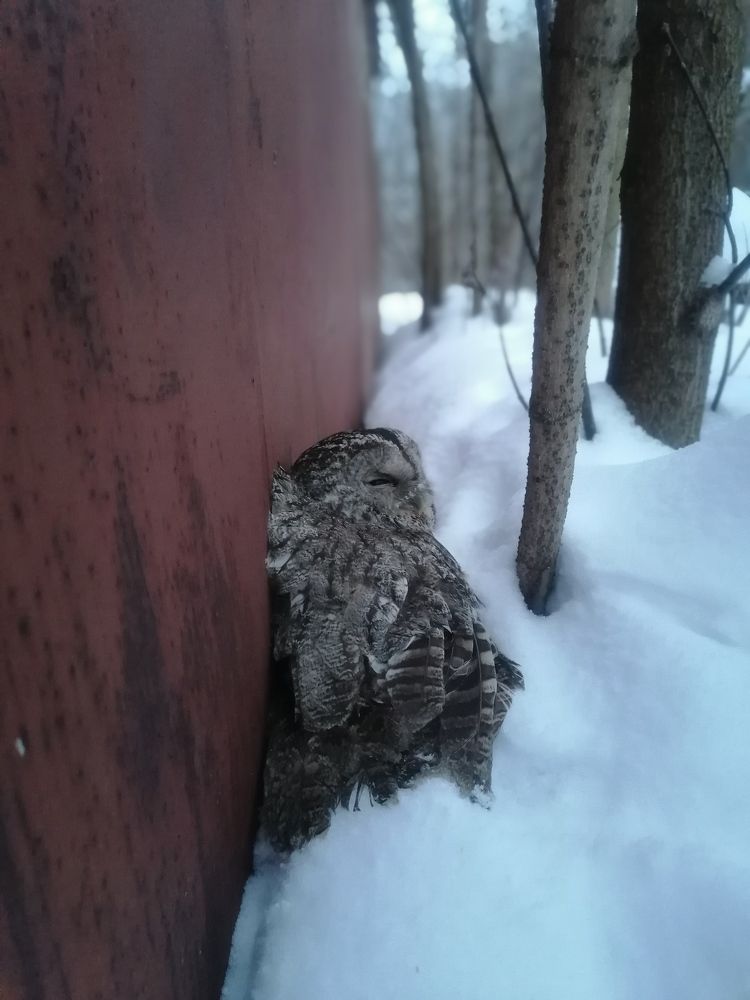 Фотография автора Виталий Дузь