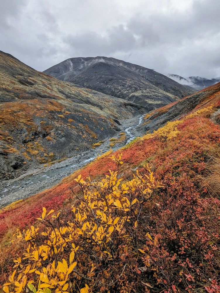 Photograph by Андрей Гусаров