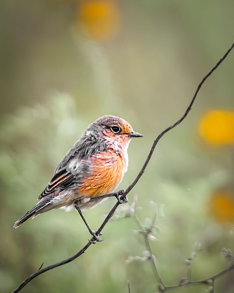 Photograph by Олег Белан