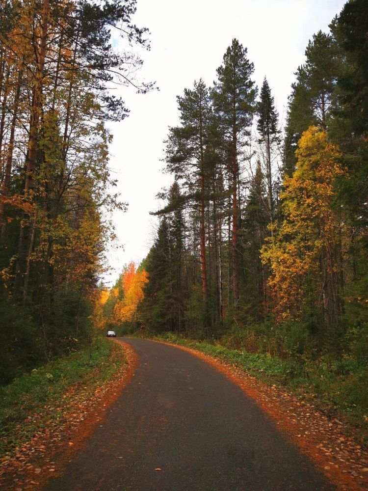 Фотография автора Андрей Богданов