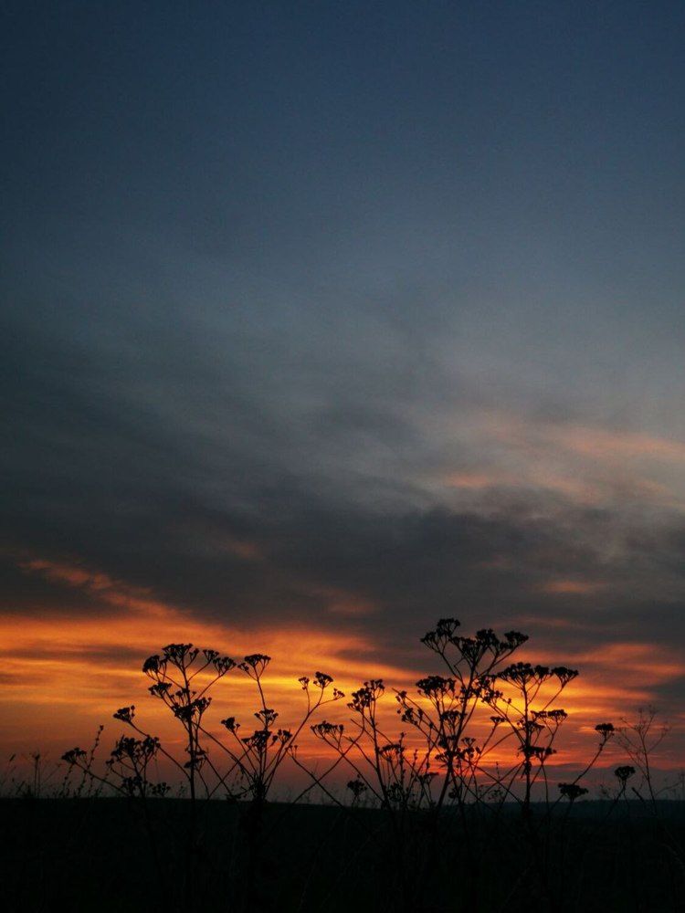 Фотография автора Андрей Богданов