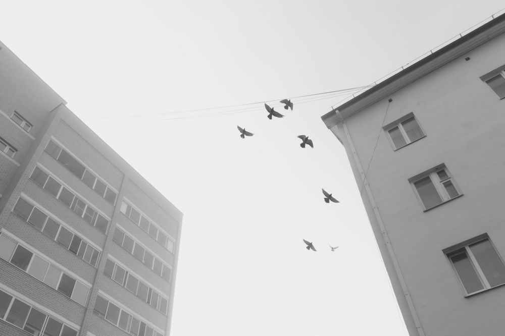 Photograph by Алина Щекотова