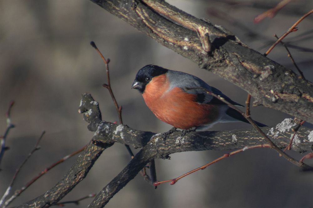 Photograph by Светлана Тарханова