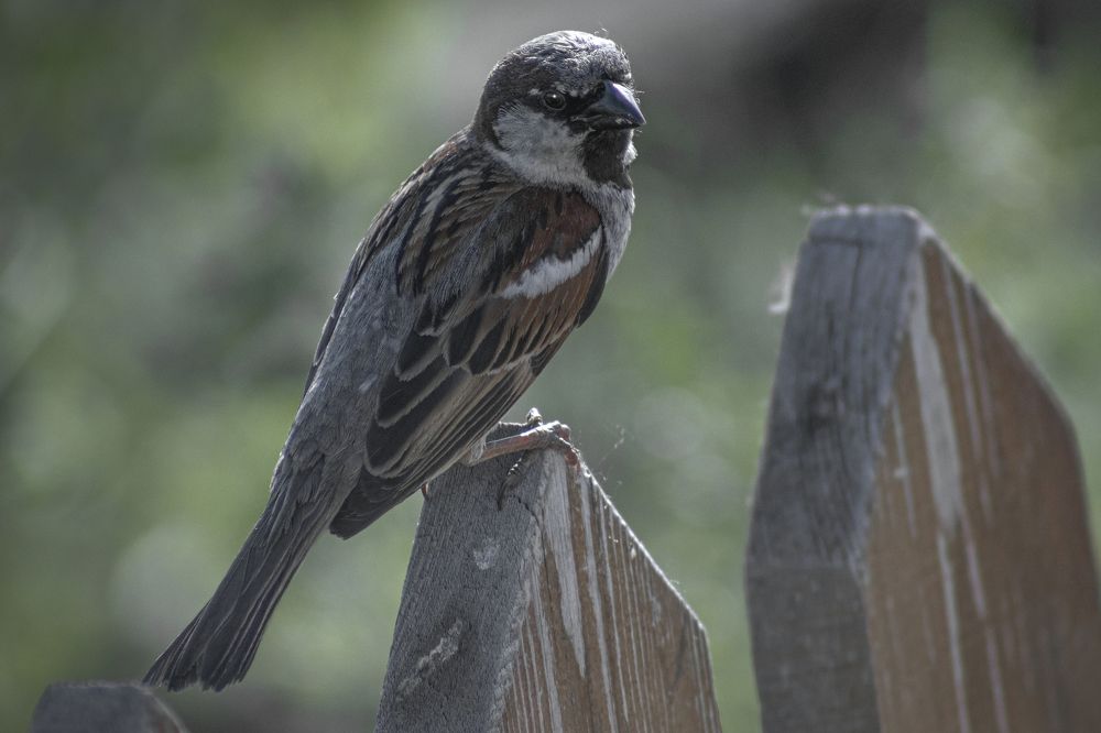 Photograph by Светлана Тарханова