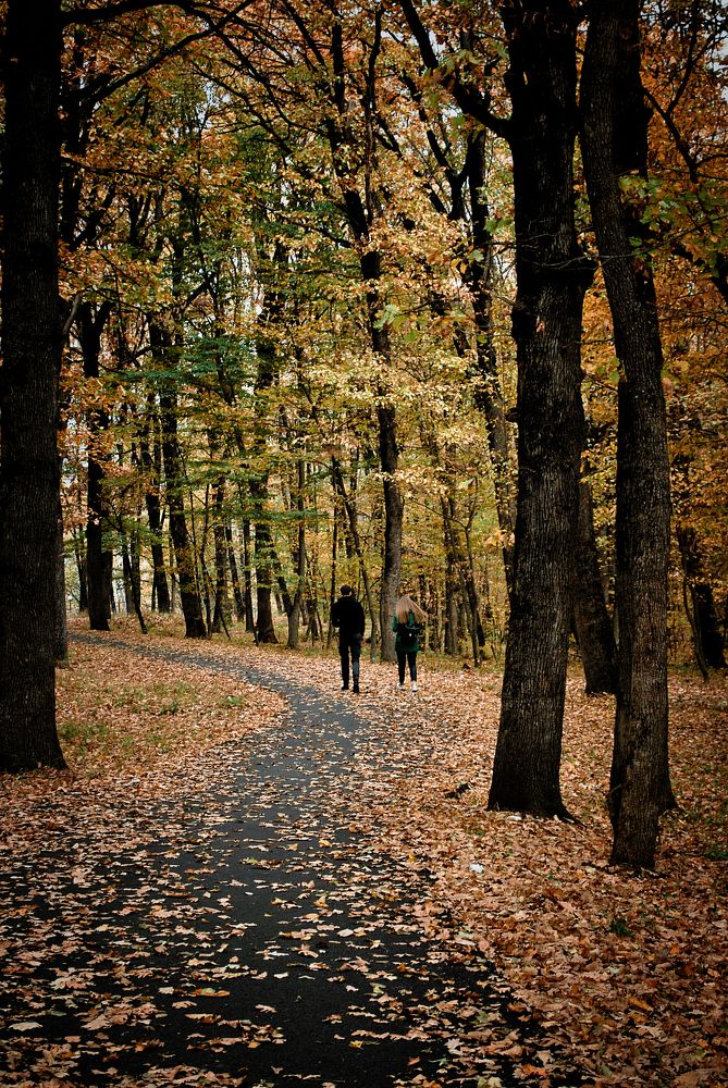 Photograph by Анна Берневик